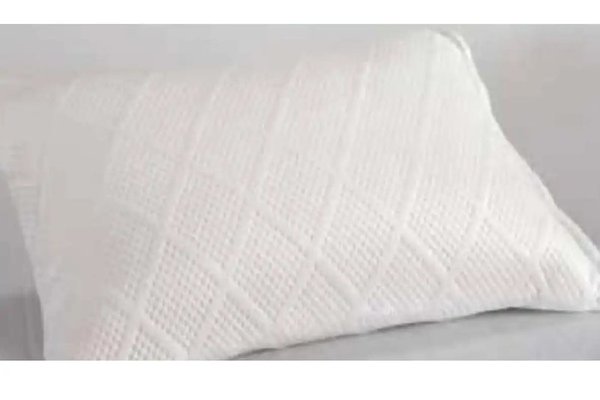 Perna visco, Homs 50 x 70 cm.00200