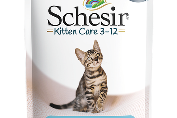 Hrana umeda pisici, Schesir Kitten Tuna in Jelly, 85 g
