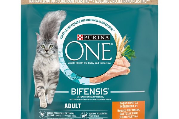 PURINA ONE ADULT, Pui si Cereale Integrale, hrana uscata pentru pisici, 450 g