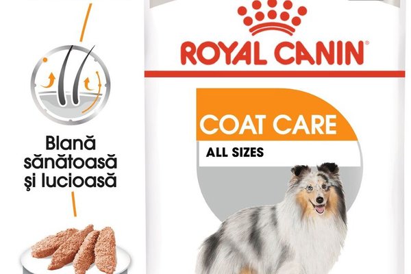 Royal Canin Coat Care Adult hrana umeda caine, blana sanatoasa si lucioasa (pate), 12 x 85 g