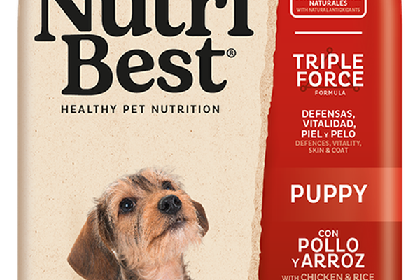 Hrana Uscata Caini Premium, NutriBest Puppy, Pui si Orez, 3 kg