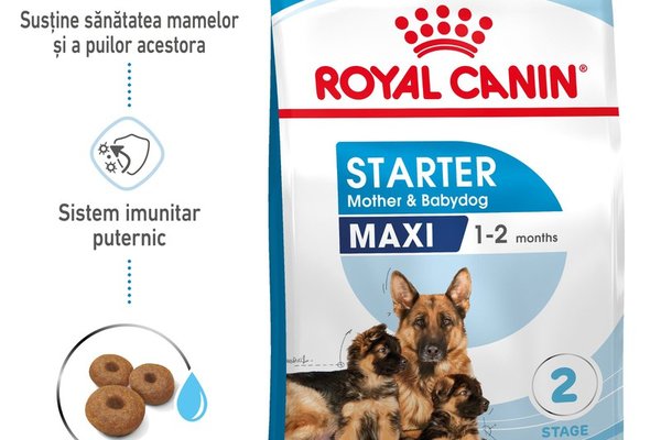 Royal Canin Maxi Starter Mother & Babydog, hrana uscata pentru caini, 15 kg