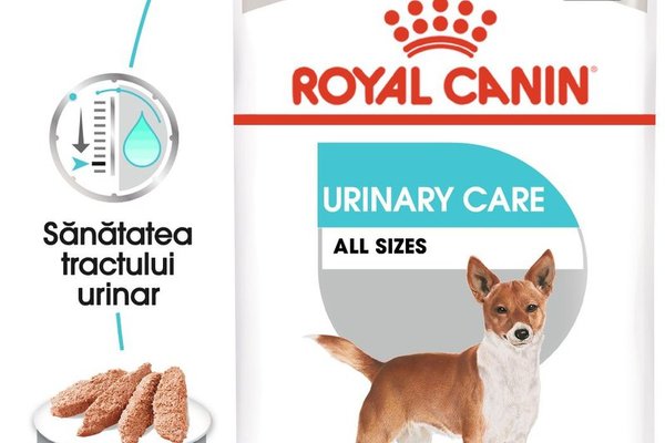 Royal Canin Urinary Care Adult hrana umeda caine, sanatatea tractului urinar (pate), 12 x 85 g