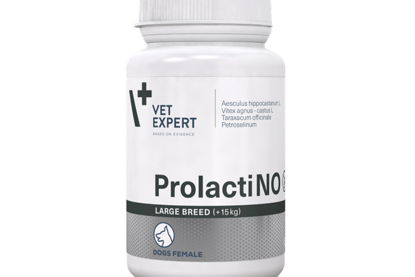 ProlactiNO Large Breed, VetExpert, 40 tablete