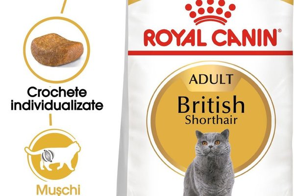 Royal Canin British Shorthair Adult hrana uscata pisica, 400 g