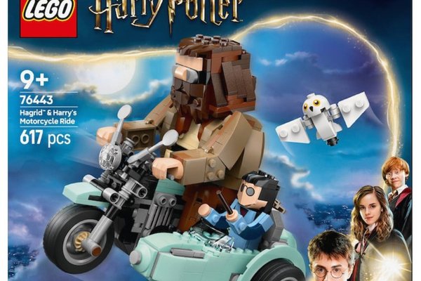 Lego Harry Potter - Hagrid si Harry intr-o tura cu motocicleta 76443