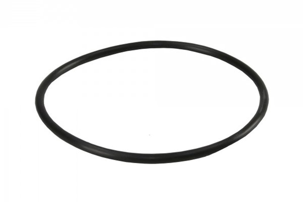 Oring pentru filtrele BigBlue - Garnitura de inalta calitate