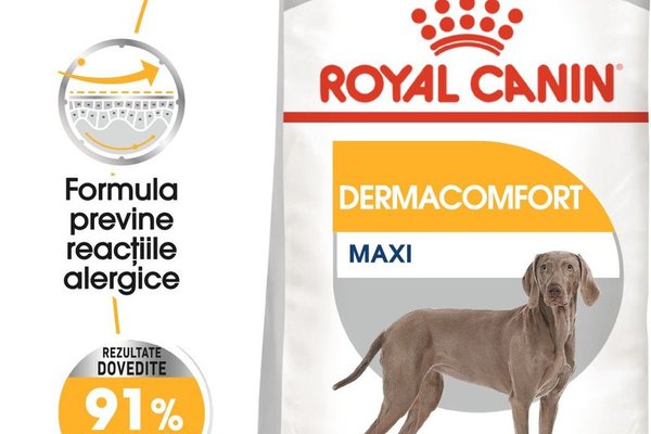 Royal Canin Maxi Dermacomfort hrana uscata caine, prevenirea iritatiilor pielii, 12 kg