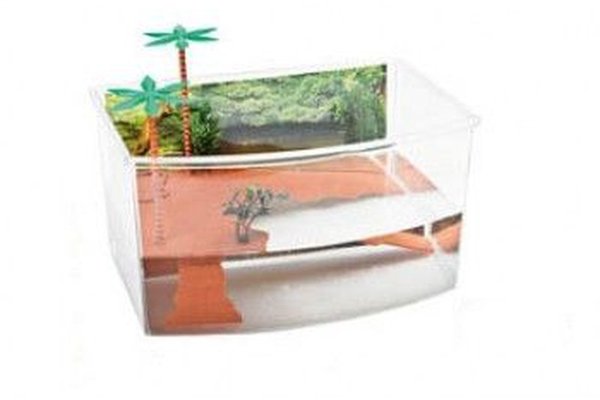 Bazin pentru broaste testoase, 27x19x15 cm