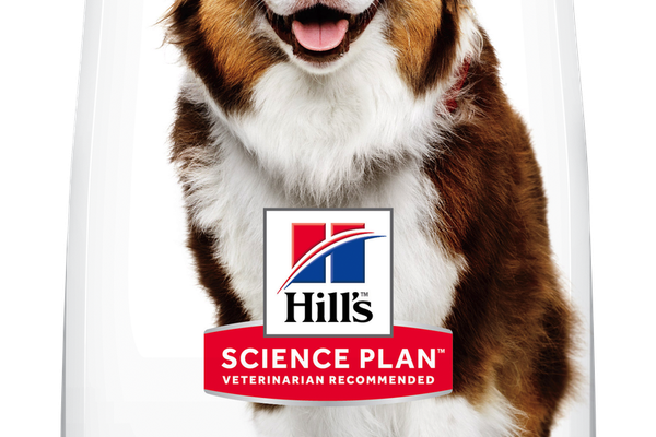 Hill's Science Plan Canine Mature Medium Lamb and Rice, 2.5 kg