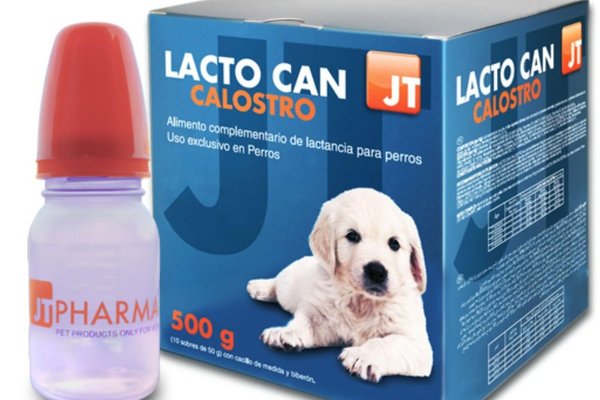 JT-Lacto Can Caini Lapte Praf, 10 plicuri x 50 g