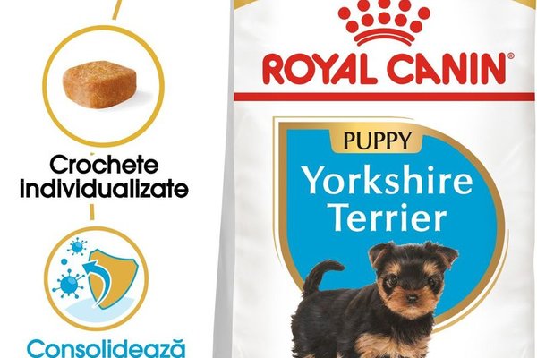 Royal Canin Yorkshire Puppy hrana uscata caine junior, 1.5 kg