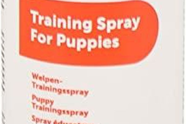 Spray Educare Catei, 120 ml