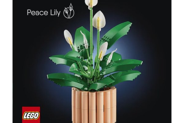 Lego Botanical - Crinul pacii (11504)