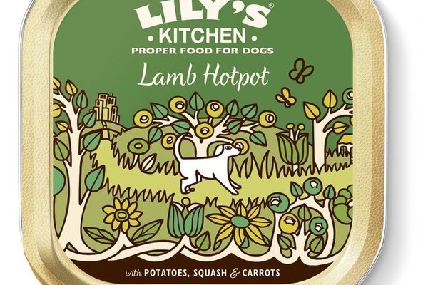 Lily's Kitchen For Dogs Lamb Hotpot, 150 g