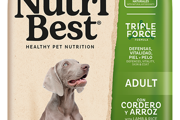 Hrana Uscata Caini Premium, NutriBest Adult Dog, Miel si Orez, 3 kg
