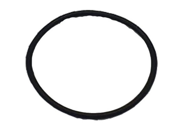 Garnitura pompa Booster RURIS , pentru atomizor Ruris 103s