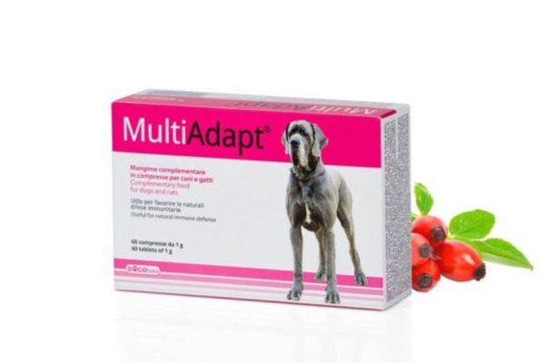 DOGOTEKA DOGO MULTI ADAPT 60 tablete, caini si pisici
