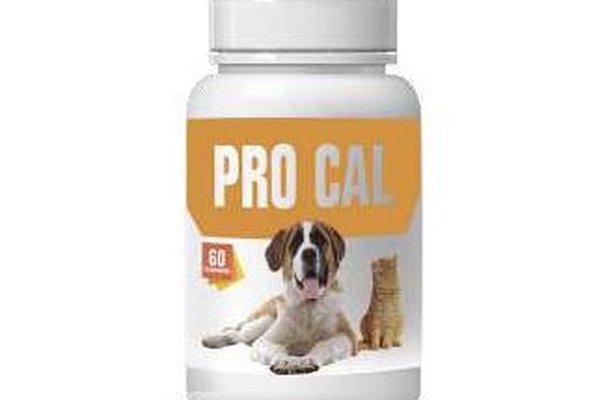 PRO-CAL, Pasteur, 60 comprimate