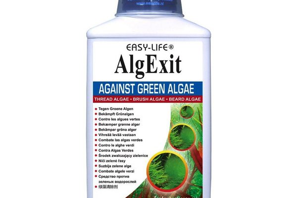 Easy Life Algexit 250 ml