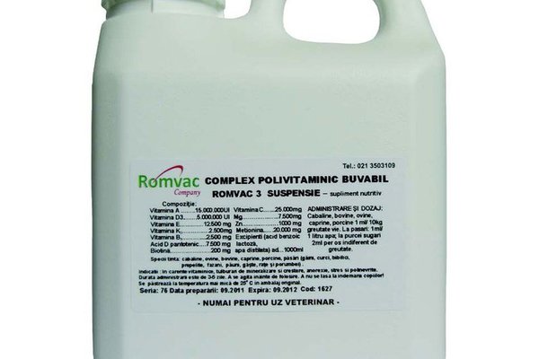 Complex Polivitaminic Buvabil Romvac-3, 1 L
