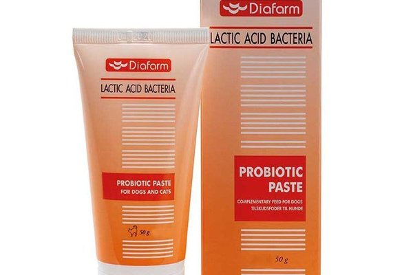 Probiotic Paste, 50 ml