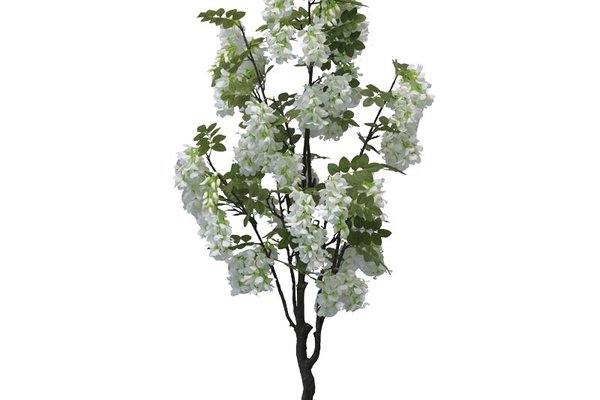 Planta decorativa Floarea de fasole in ghiveci alb plastic PP 125 cm