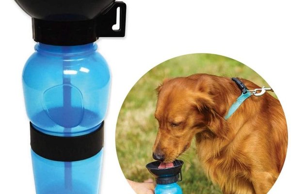 Sticla de apa portabila Aqua Dog pentru caini cu bol integrat, albastra