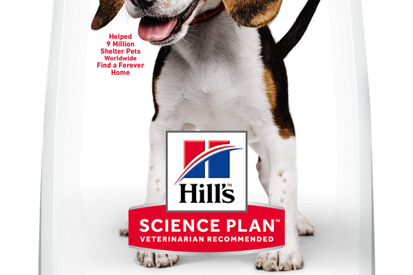 Hill's Science Plan Canine Puppy Medium Lamb and Rice, 14 kg