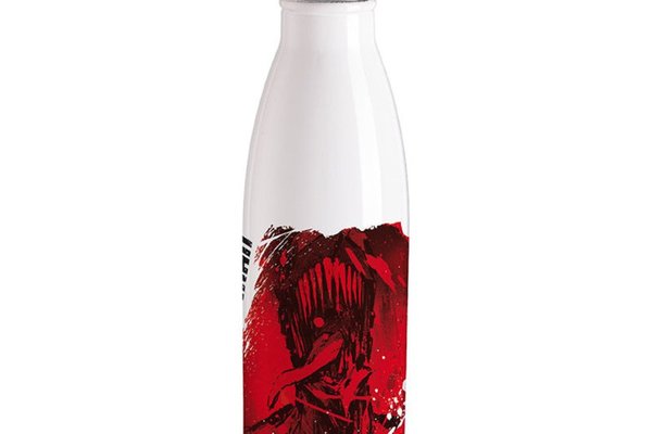 Sticla Apa Inox Chainsaw Man - Pochita & Chainsaw Man
