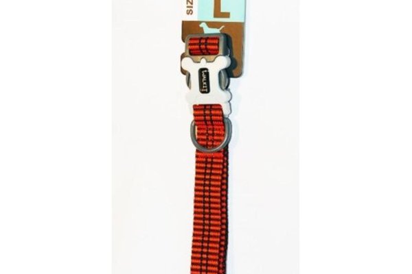 Walkit Zgarda caine electric orange (L) 2.5 x 40 - 66 cm