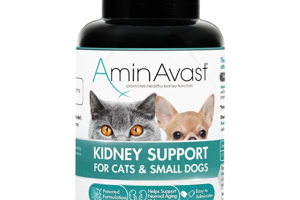 Aminavast 300 mg pentru Pisici si Caini Mici, 60 capsule