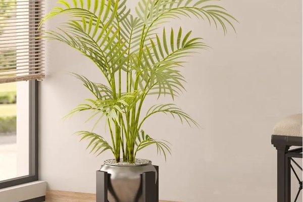 Suport Metalic pentru Ghiveci Anca, Negru, Design Modern