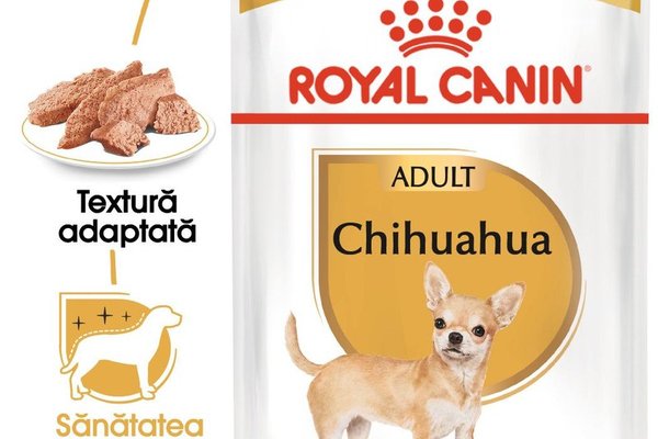 Royal Canin Chihuahua Adult hrana umeda caine (pate), 85 g