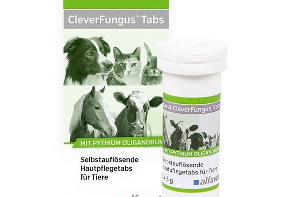 Alfavet Clever Fungus Tabs, 10 x 3 g