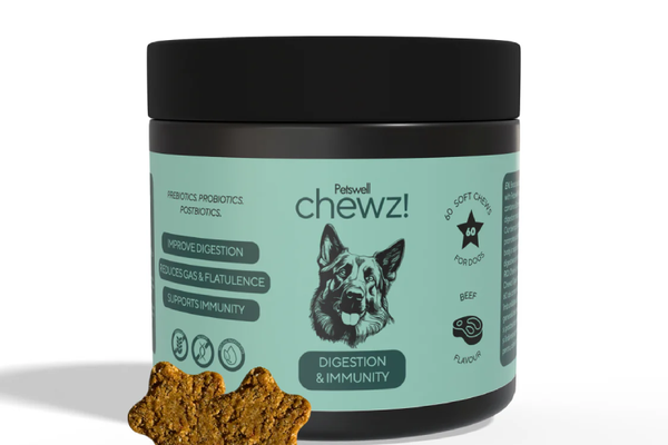 Petswell chewz! Digestion & Immunity, 60 comprimate masticabile