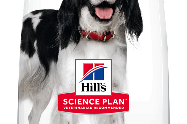 Hill's Science Plan Canine Adult Medium Lamb and Rice, 14 kg