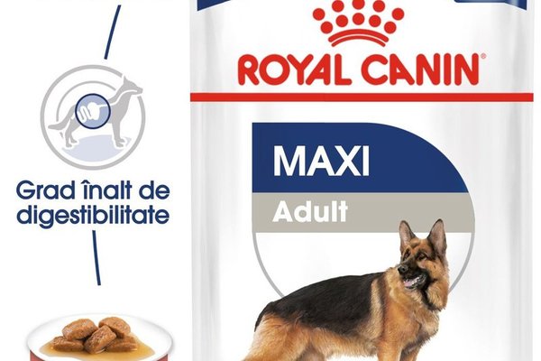 Royal Canin Maxi Adult hrana umeda caine (in sos), 10x140 g
