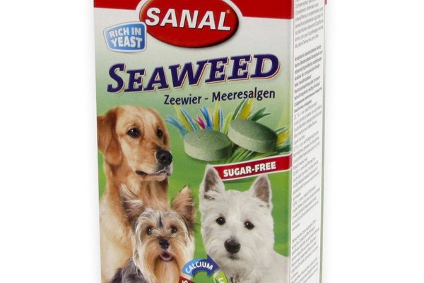 Sanal Dog Seaweed 100 tablete