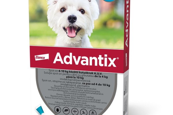 Advantix 100 Caini (4 - 10 kg), 1 pipeta