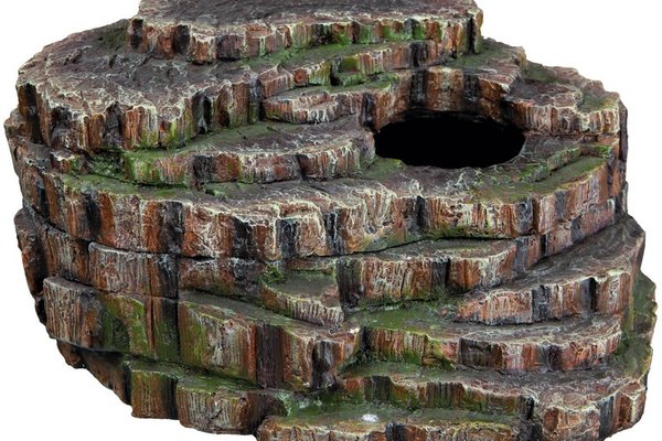 Decor Reptile cu Capac 76199