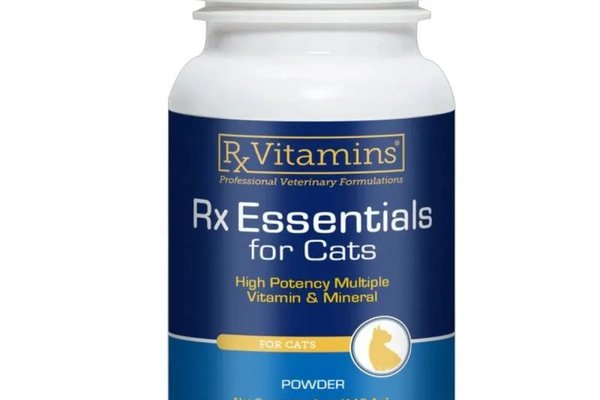 RX Essentials Pisica, 113.4 g