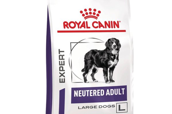 ROYAL CANIN Neutered Adult Large Dog, L-XL, dieta veterinara, hrana uscata caini, 3.5 kg