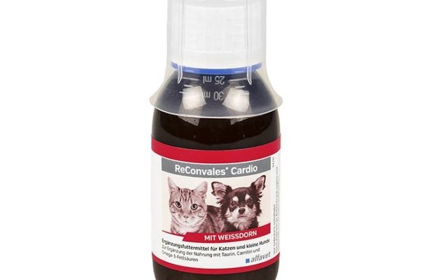 ReConvales Cardio, 90 ml