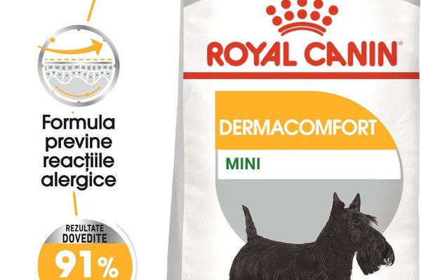 Royal Canin Mini Dermacomfort hrana uscata caine, prevenirea iritatiilor pielii, 1 kg