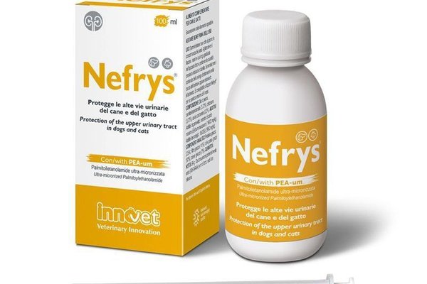 Nefrys, 100 ml