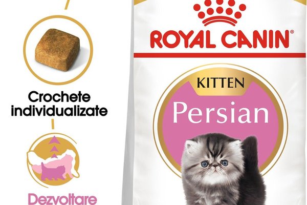 Royal Canin Persian Kitten hrana uscata pentru pisici junior, 2 kg