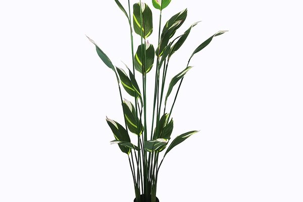 Planta decorativa cu ghiveci Lucky Verde 80x80x210 cm