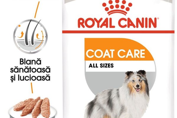 Royal Canin Coat Care Adult hrana umeda caine, blana sanatoasa si lucioasa (pate), 85 g