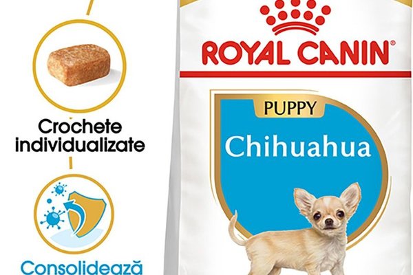 Royal Canin Chihuahua Puppy hrana uscata pentru caini junior, 1.5 kg